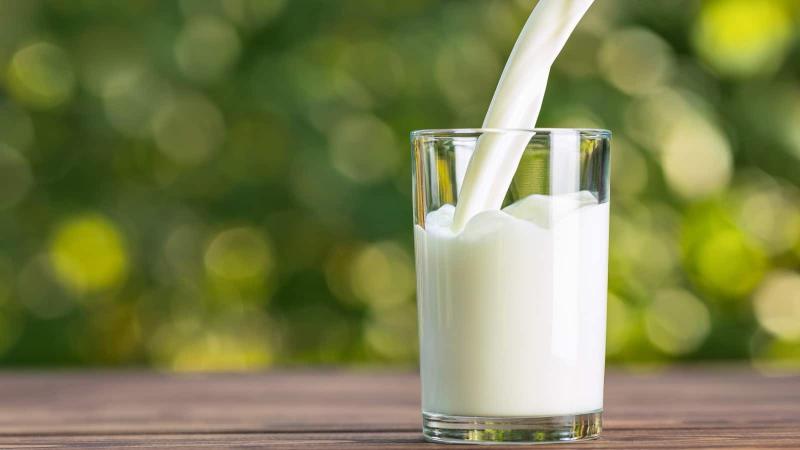 Skimmed Milk Manufacturing Plant Project Report 2024: Business