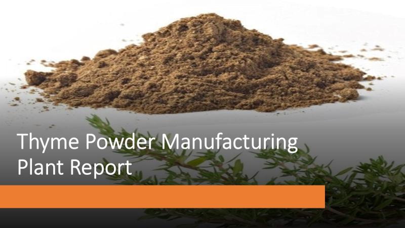Thyme Powder Manufacturing Plant