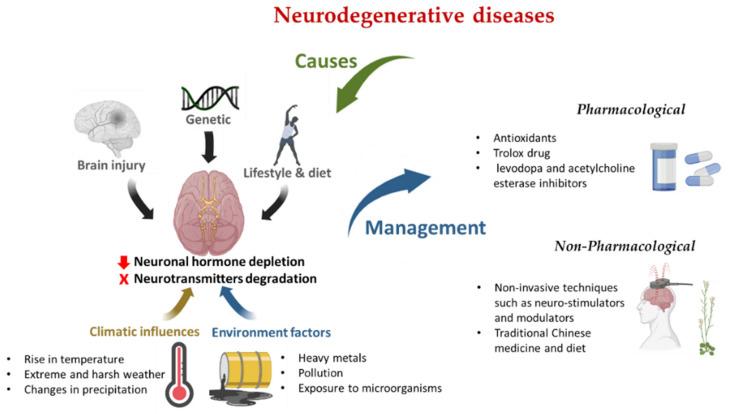 Neurodegenerative Disease Therapeutics Market