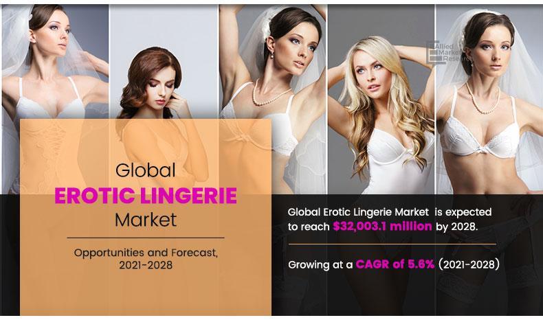 Erotic lingerie Market Navigating Business with CAGR of 5.6%