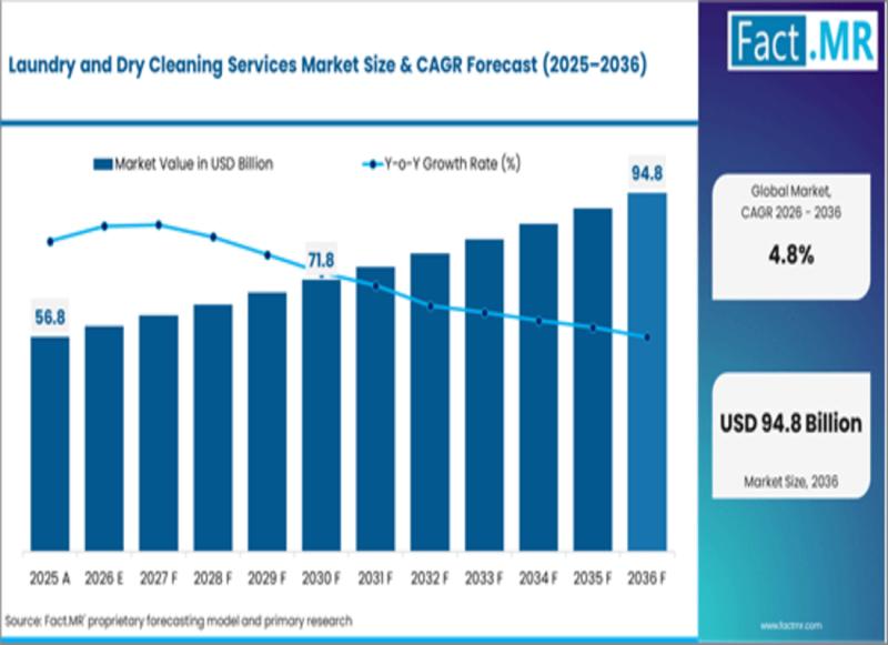Laundry and Dry Cleaning Services Market