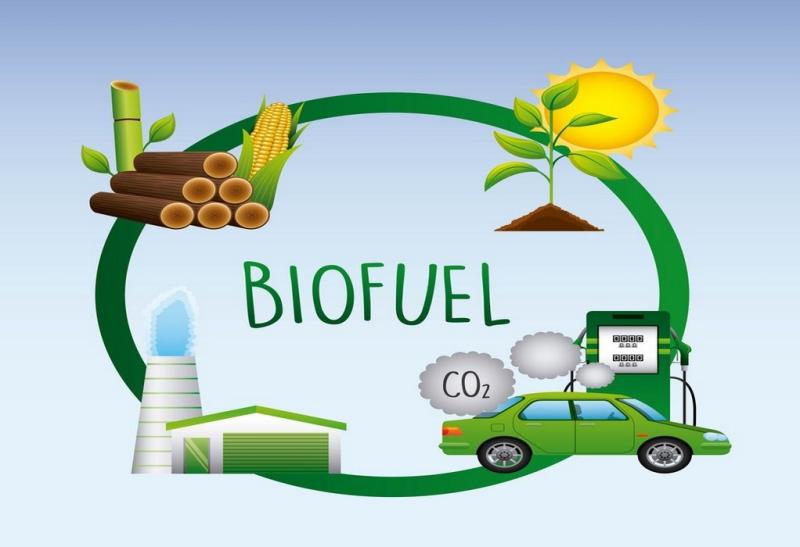 Biofuel energy