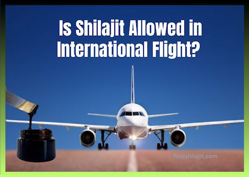 Is Shilajit Allowed in International Flight? Travel Rules, TSA