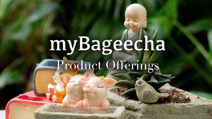 MyBageecha: Your One-Stop Destination for Premium Greenery