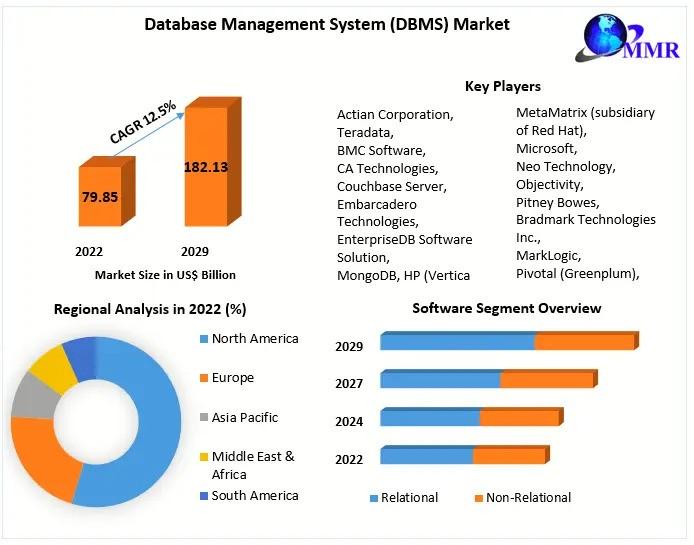 Database Management System (DBMS) Market