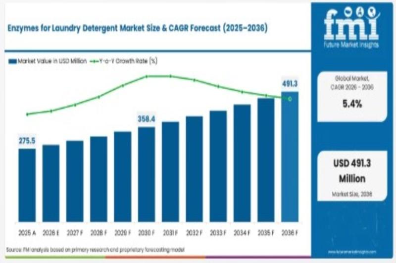 Global Enzymes for Laundry Detergent Market Set to Reach USD