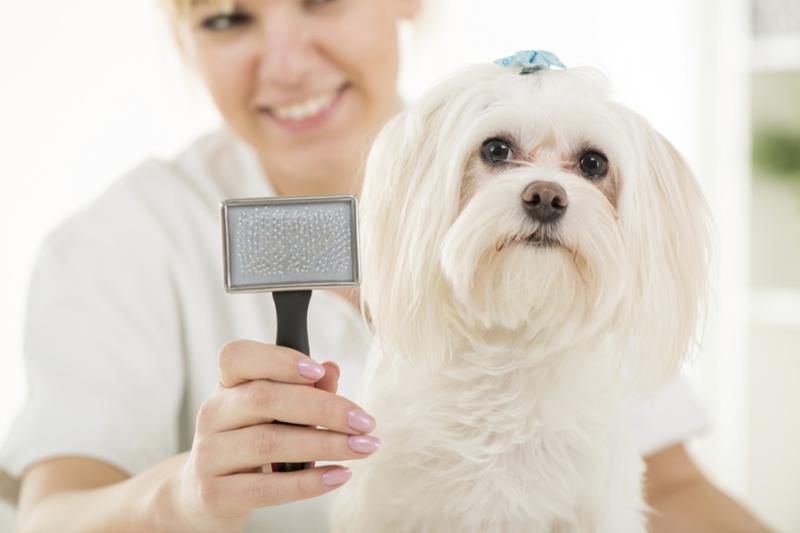 Pet Grooming Devices Market