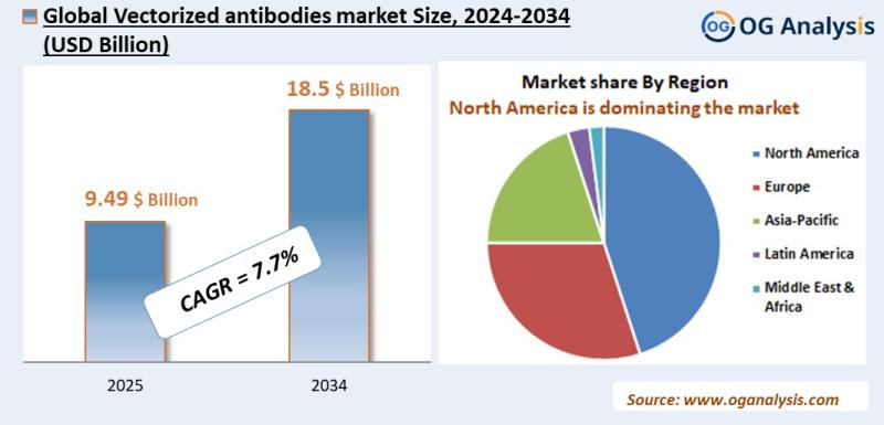 Vectorized antibodies market Analysis 2025-2034: Industry Size, Share, Growth Trends, Competition and Forecast Report