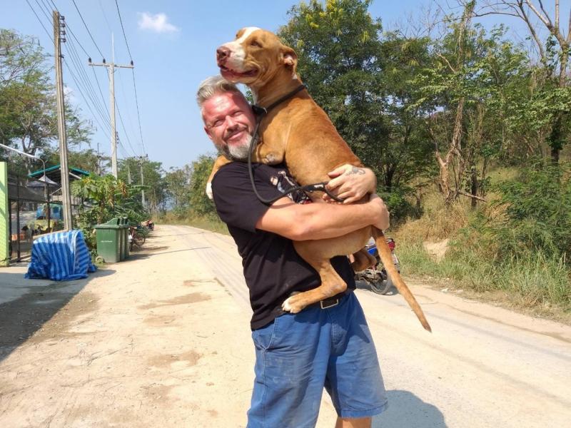 The Man That Rescues Dogs To Launch Memoir 'Home. Made.' on International Dog Day