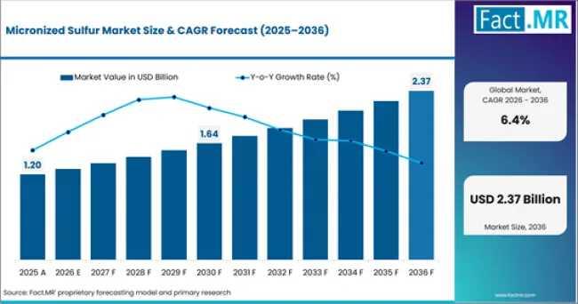 Micronized Sulfur Market