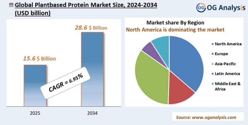 Plantbased Protein Market Analysis 2025-2034: Industry Size, Share, Growth Trends, Competition and Forecast Report