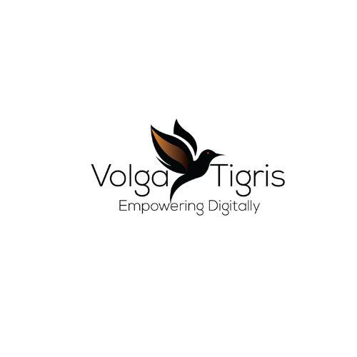 Volga Tigris Hits Major SEO Milestone in the US