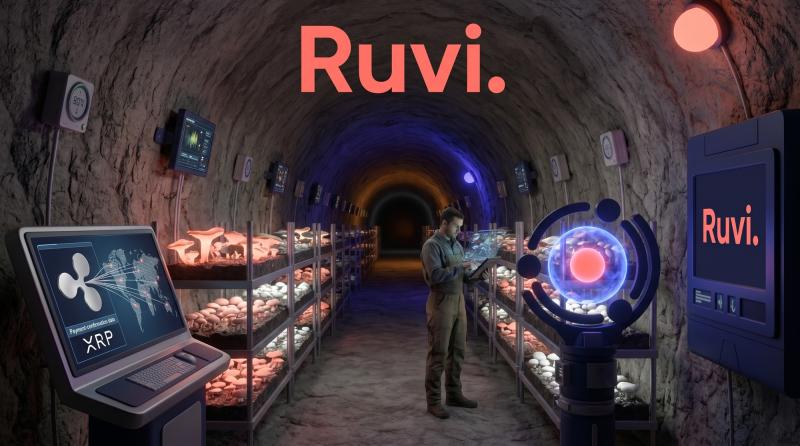 Ruvi (RUVI) AI Superapp