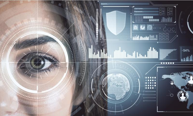 Explaining the Evaluation of Vendors' Iris Recognition