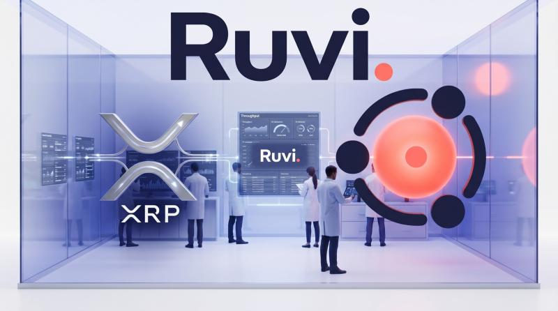 Ripple (XRP) CLARITY Act Lands on the Senate Calendar While Ruvi (RUVI) Fills Phase 3 at $0.020 Entry