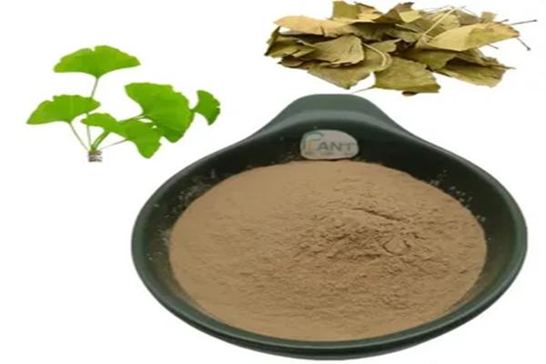 ginkgo-leaf-extract-market