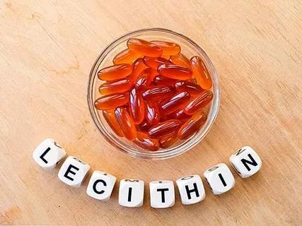 Lecithin Market
