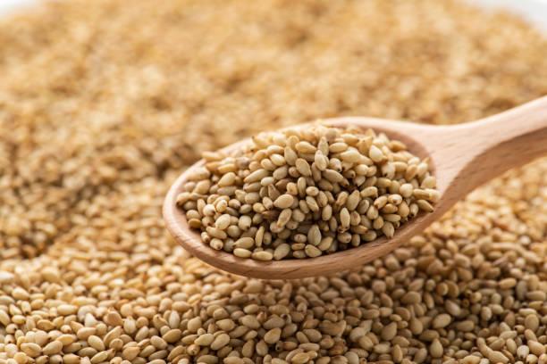 Sesame Seeds Market