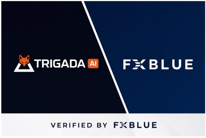Trigada AI Is Independently Verified: A Transparent Look at