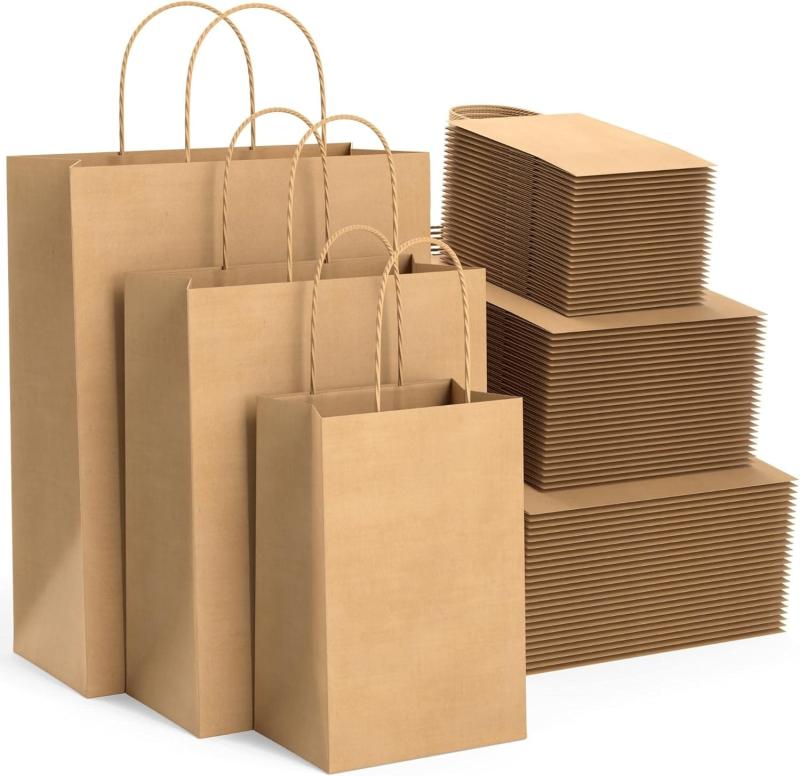 Paper Shopping Bags Manufacturing Plant Project Report 2024: