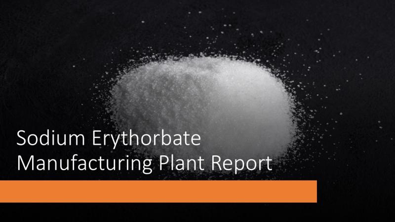 Cost of Setting Up Sodium Erythorbate Plant: Detailed Process