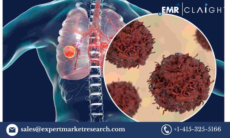 Lung Cancer Therapeutics Market