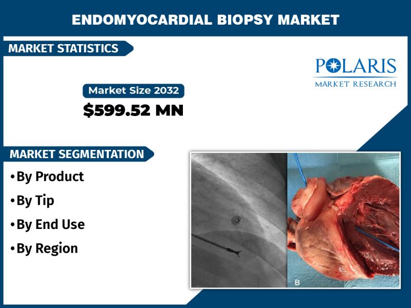 Endomyocardial Biopsy Market