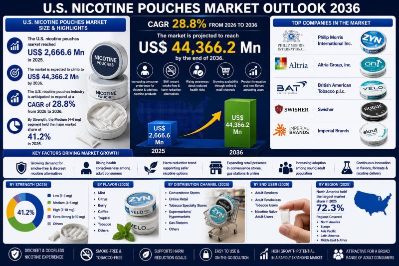 tobacco-free nicotine products usa 2025 United States Pouches Market Analysis 2026 Zyn Vs Alp Products &