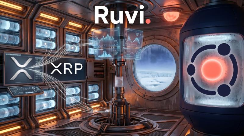 Ripple and Bitso Launch a Peso Stablecoin on XRP as Ruvi (RUVI) Nears the Phase 5 Tier at $0.035