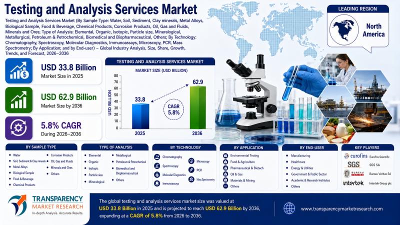Testing and Analysis Services Market