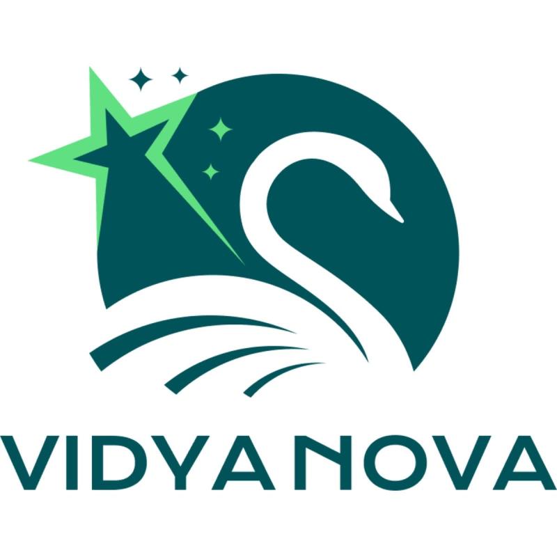 VidyaNova Empowers Creators to Turn AI Content Skills into