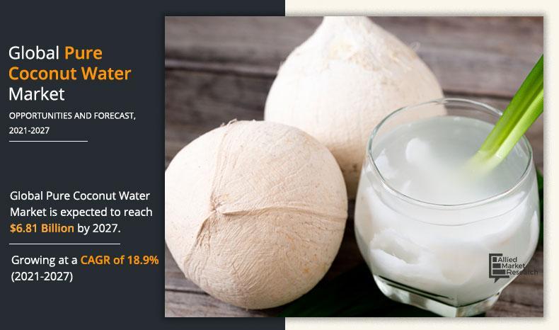 Explore the dynamic growth of the global pure coconut water market driven by consumer health trends and innovative flavors.