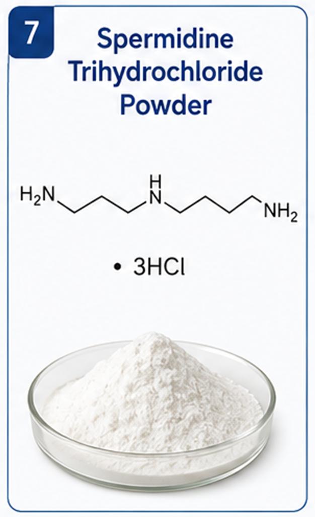 Medchem - Pharma Intermediates Spermidine Trihydrochloride