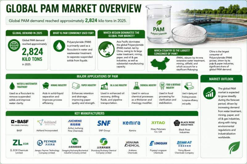 The global PAM demand was recorded at approximately 2,824 kilo