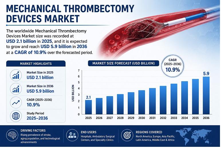 Mechanical Thrombectomy Devices Market