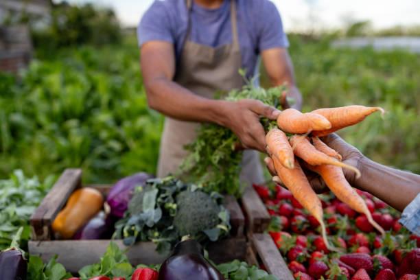 Latin America Organic Farming Market: Opportunities for Agricultural Input Producers and Agri-Biotech Companies 2026-34
