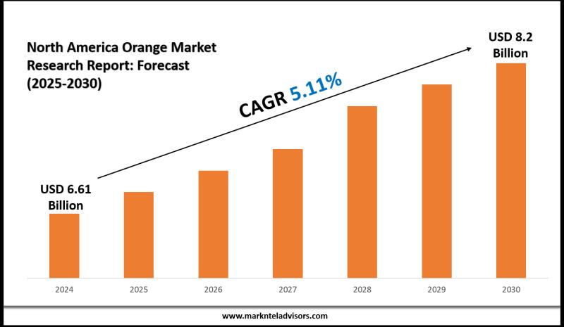 North America Orange Market Set to Grow to $8.2 Billion by 2030, Driven by Health Trends and Organic Demand: MarkNtel Advisors (Key Player - The Fruit Company, Trinity Fruit Company, Sun Pacific)