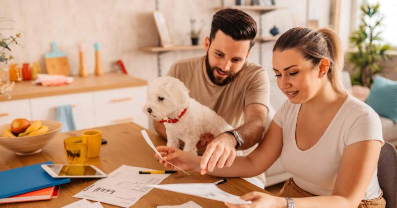 Pet Insurance Market Growth Driven by Rising Pet Healthcare