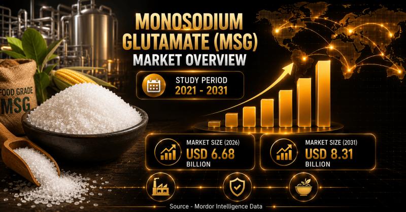 Monosodium Glutamate (MSG) Market Size & Trends | Mordor Intelligence