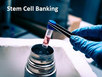 Stem Cell Banking Market