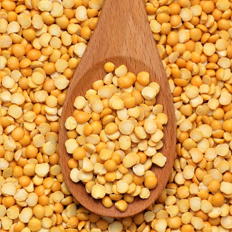 Yellow Pea Protein Market