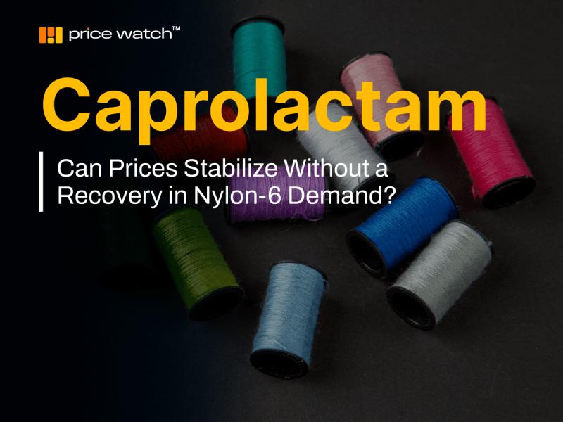 China Caprolactam Market Shifts from Feedstock-Led Optimism
