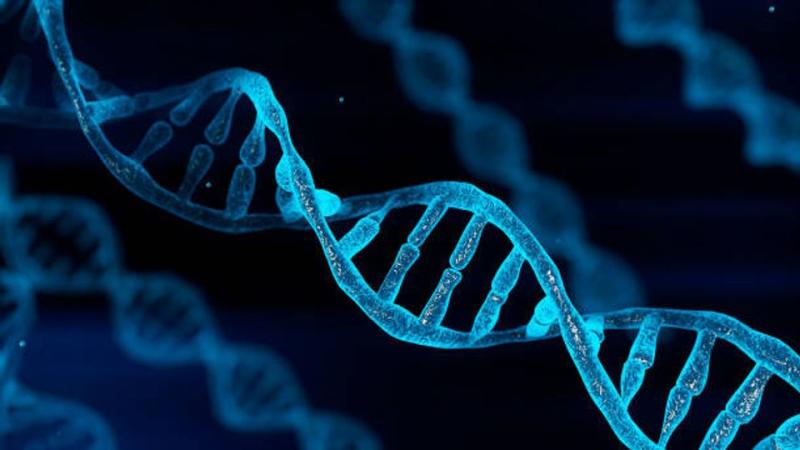 Oligonucleotide Synthesis Market