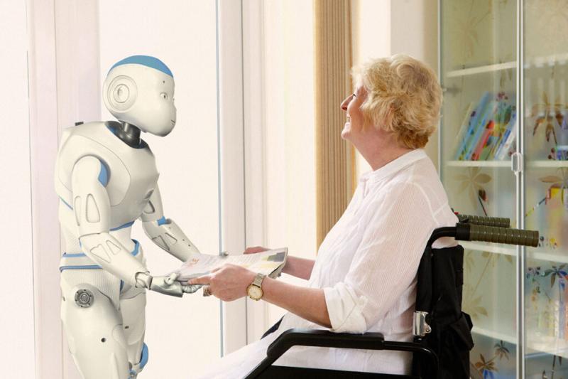 Healthcare Companion Robots Market