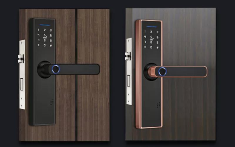 Analysis: How TOKING Became a Global Leading Fingerprint Door Lock Exporter Through Biometric Innovation