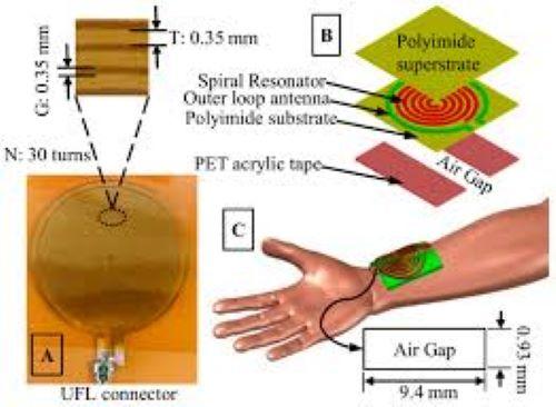 Micro Blood Flow Biosensors market