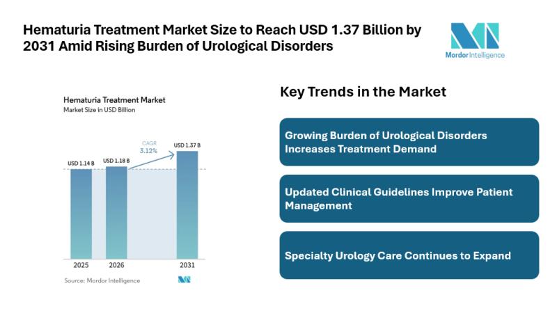 Hematuria Treatment Market Size to Reach USD 1.37 Billion by 2031
