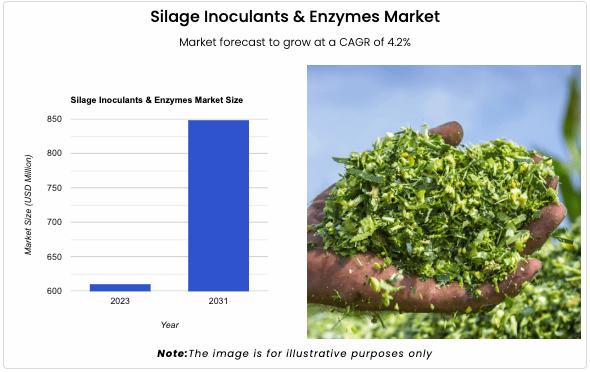 The global Silage Inoculants & Enzymes Market size reached 610.61 USD Million in 2023.