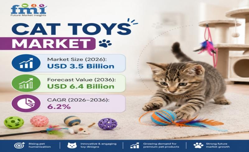 Cat Toys Market