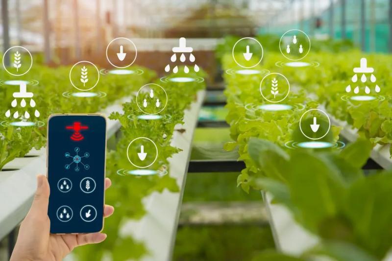 Agricultural Sensor Market Market Is Set To Fly High Growth In Years To Come | Trimble, Deere, AGCO, Raven